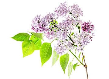 韩国《暗黑破坏神2：重制版》特权网吧增加25%爆率